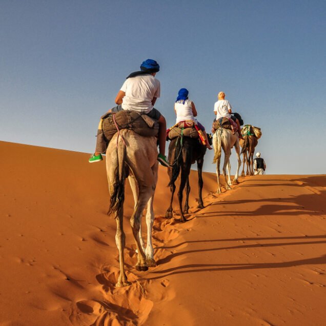 Small Desert Day Trip From Agadir​