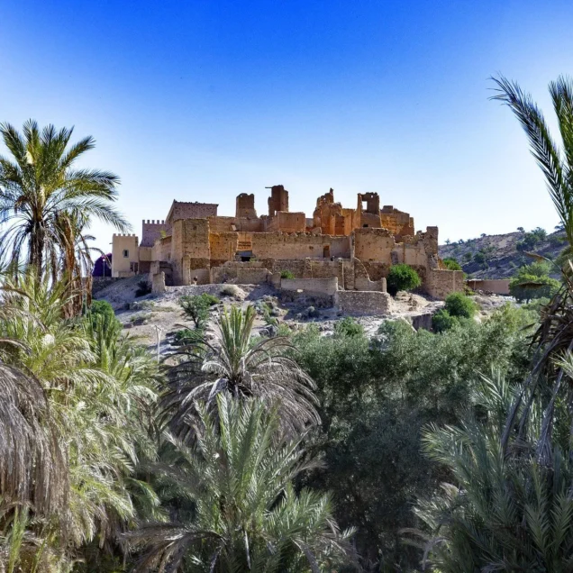 Day Trip From Agadir To Taroudant and Tiout