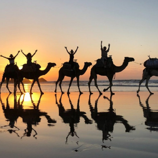 Agadir Camel Ride