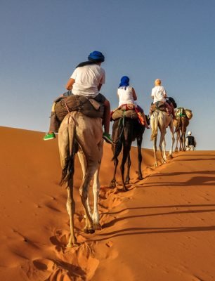 Camel,Ride,At,Erg,Chebbi,-,Sahara,Desert,-,Morocco